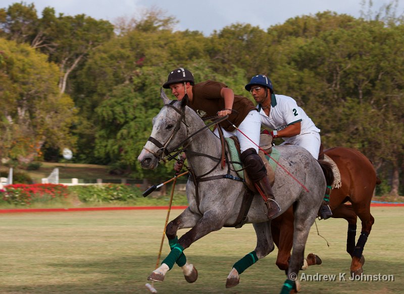 0408_40D_2813.jpg - Polo practice at the Holders Ground, Barbados