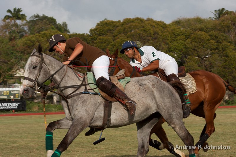 0408_40D_2814.jpg - Polo practice at the Holders Ground, Barbados