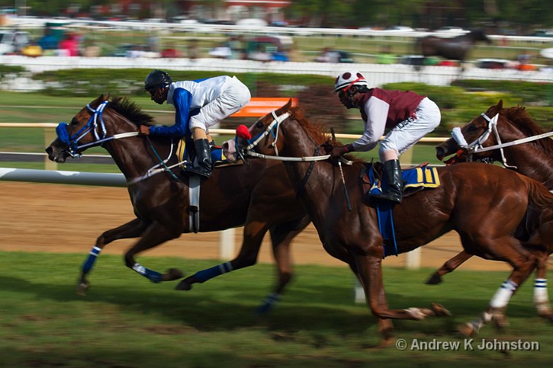 0410_40D_0731.jpg - Horse racing at the Garrison Savanah racetrack, Barbados