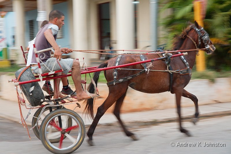 1110_7D_2946.jpg - Bolting horse buggy, Vinales, Cuba
