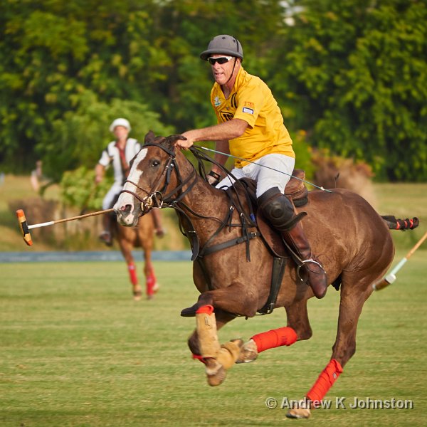 0415_GH4_1040672.jpg - As well as beauty, I like to capture action. Fast planes, cars and horses all qualify, as with this shot of Polo on Barbados.