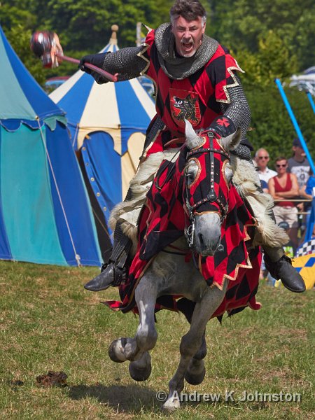 0713_7D_4566.jpg - Jousting at Hever Castle