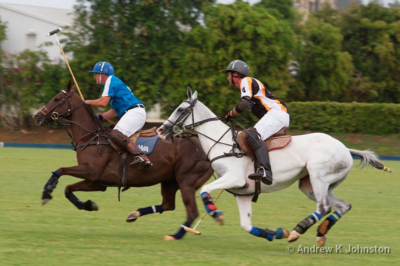 0411_7D_4614.jpg - International Polo - Barbados vs the USA!