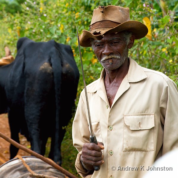 1110_7D_3109.jpg - Tobacco farmer, Vinales