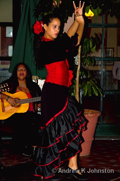 1110_7D_4235.jpg - Flamenco dancer, Hotel Sevilla, Havana
