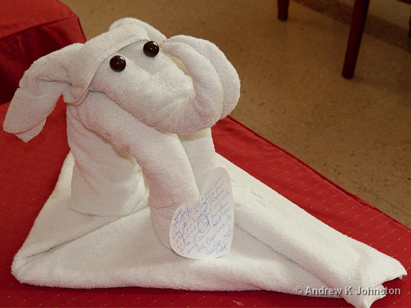 1110_7D_2820.jpg - Towel sculpture in hotel bedroom, Havana