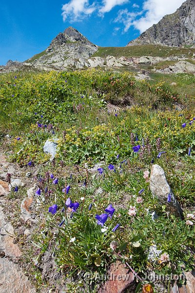 0809_40D_8466.JPG - View at the top of the Grand St. Bernard Pass