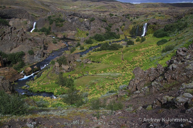 0811_7D_7249.JPG - Sheltered oasis of green in the middle of the Icelandic "high desert"