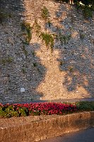 0813_GH2_1010416