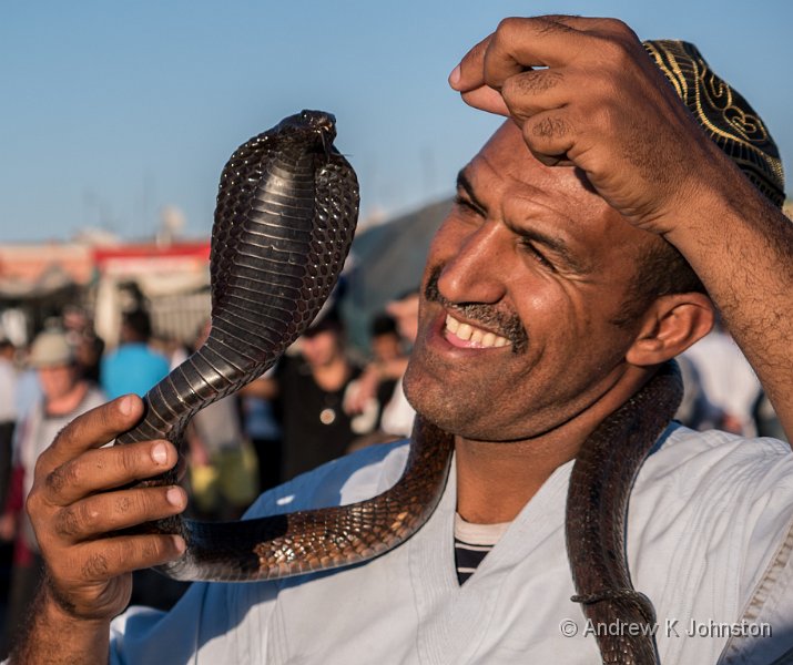 1113_GX7_1040246.JPG - Snake Charmer, Marrakech Medina