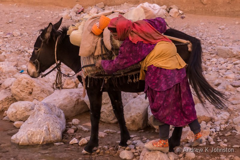 1113_GX7_1050067.JPG - Goatherd tending her donkey, Todra Gorge, Morocco