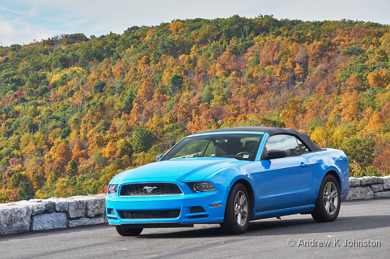 1014_GH4_1040191.JPG - Mustang in Shenandoah NP