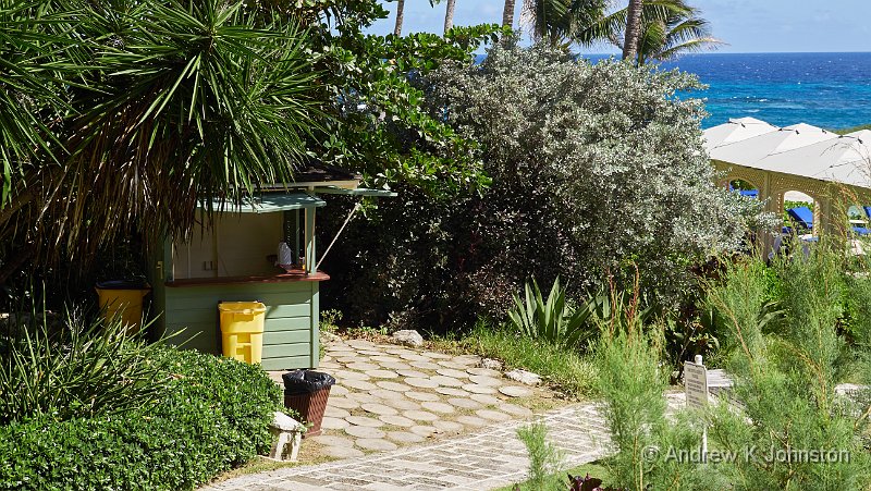 171110_GX8_1120957.jpg - The Hut of Alleged Towels, The Crane, Barbados