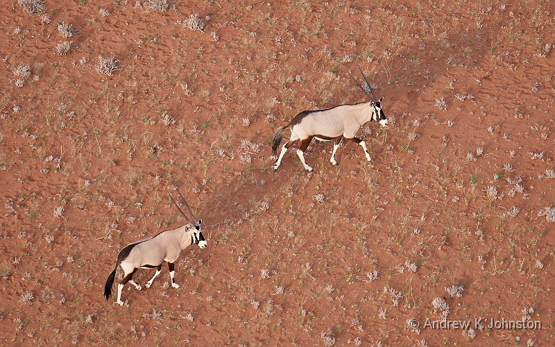 181120_G9_1003561.jpg - Oryx from the air