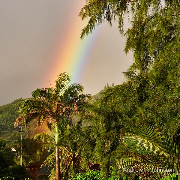 190927_G9_1007852.jpg - From the beach outside the Hana Kai Lodge