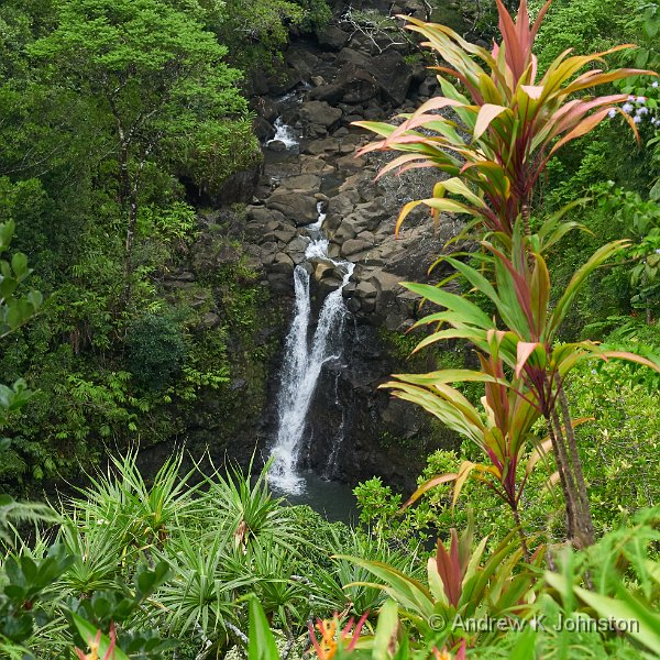 190928_G9_1008032-2.jpg - Waterfall from the Garden of Eden