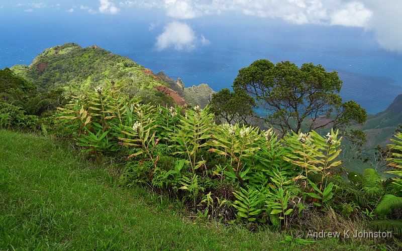 191002_G9_1008291.jpg - Looking down to the Na'pali Coast from the top of Waimea Canyon