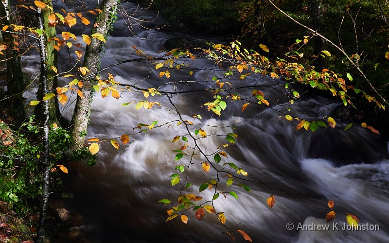 201103_G9_1010340.jpg - The River Webburn at Buckland Bridge