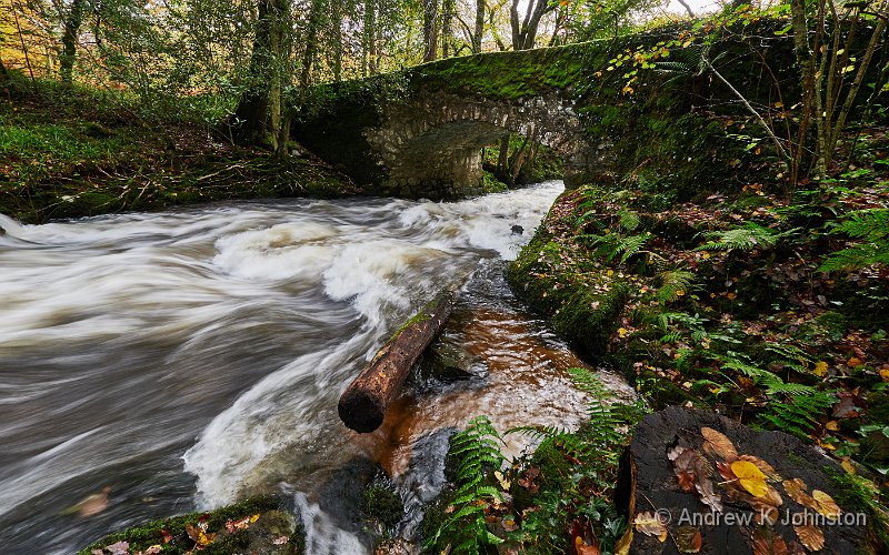 201103_G9_1010389-2.jpg - The River Webburn at Buckland Bridge