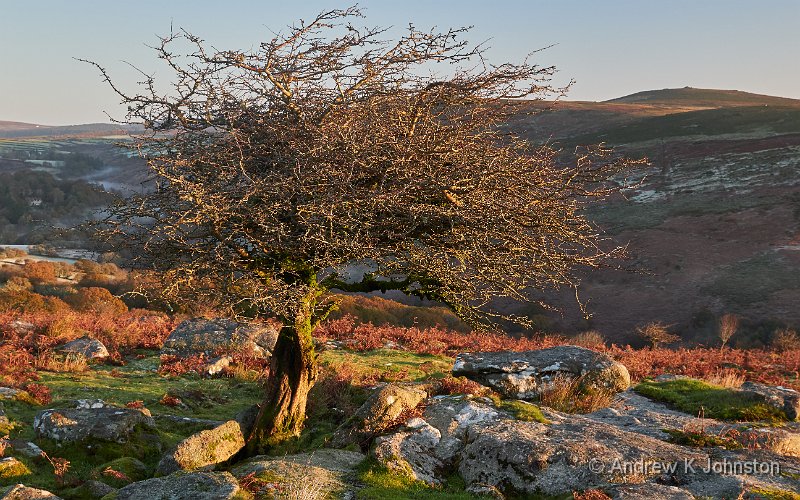 201104_G9_1010714.jpg - Combestone Tor