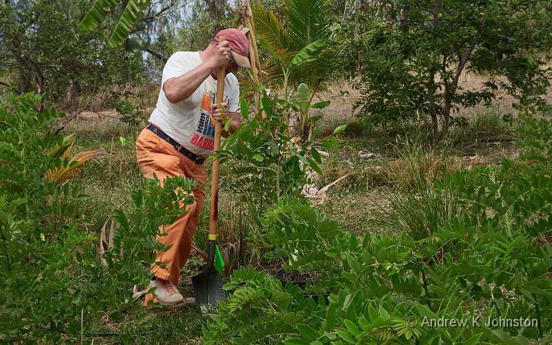 220421_G9_1024182.jpg - Andrew planting a tree at Walkers Reserve