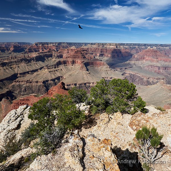 231003_G9_1092689.JPG - Mohave Point