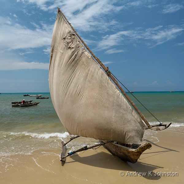 231206_G9ii_1001173.jpg - Dhow at BuBuBu