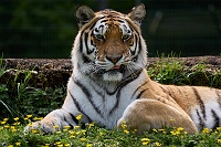250529_G9ii_1018842