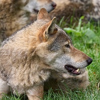 250529_G9ii_1029323