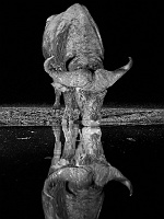 250612_G9_1000160-2