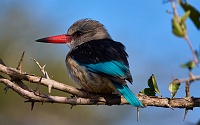 250612_G9ii_1030197