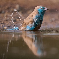 250612_G9ii_1030446