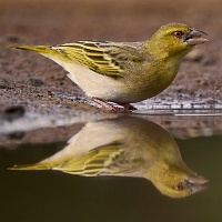 250612_G9ii_1030463
