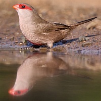 250612_G9ii_1030513-2