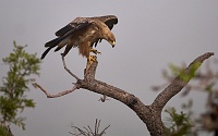 250613_G9ii_1030814