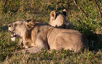250614_G9ii_1031134