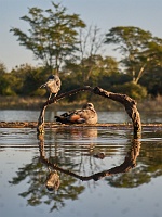 250614_G9ii_1031537