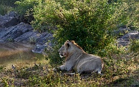 250615_G9_1000460