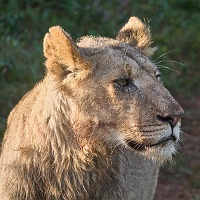 250615_G9ii_1031822