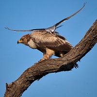 250617_G9ii_1053767