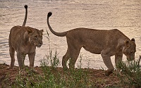 250619_G9ii_1064957