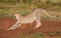 250612_G9ii_1030131