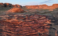 250725_G9ii_1065062