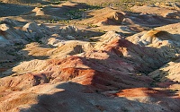 250728_G9ii_1065509