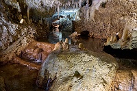 260506_S5D_1014438