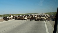 260527_G9ii_1136220